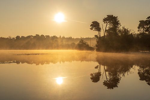 Golden hour in Brabant nature