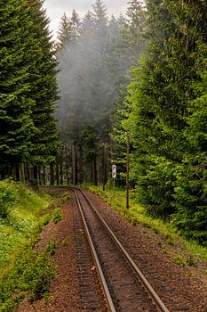 The Pathway of Dreams