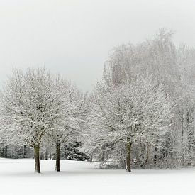Fahne auf dem Golfplatz. von Alie Ekkelenkamp