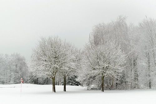 Fahne auf dem Golfplatz. von Alie Ekkelenkamp