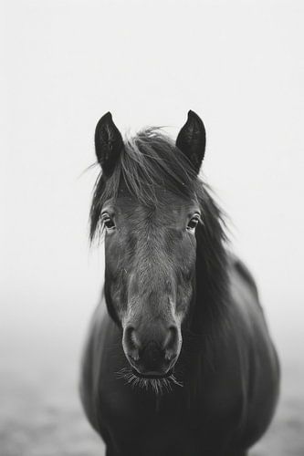 Portrait de cheval