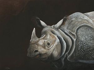 Panzernashorn, Rhinoceros unicornis