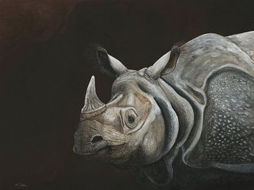 Gepantserde neushoorn, Rhinoceros unicornis van Helga Pohlen - ThingArt