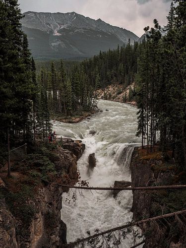 Sunwapta-Wasserfall im Jasper-Nationalpark, Alberta, Kanada