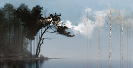 In Abstracto #14 by Transmutation Art