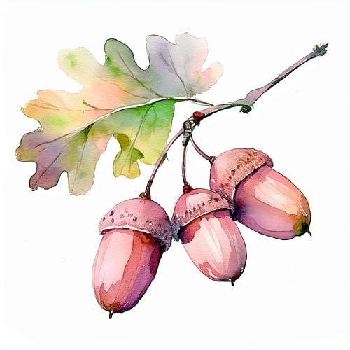 acorns on branch, autumn atmosphere