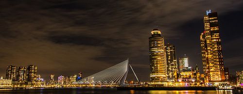 Kop van Zuid & Erasmusburg panorama in kleur