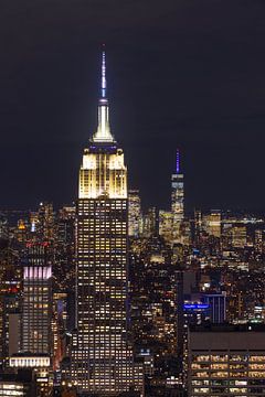 Skyline New York City - Empire State Building (U.S.A.) van Marcel Kerdijk