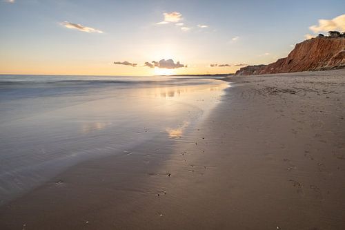 Zonsondergang op het zandstrand Praia da Falésia. Kliffen Roze bloemen bij Albufeira, Portugal