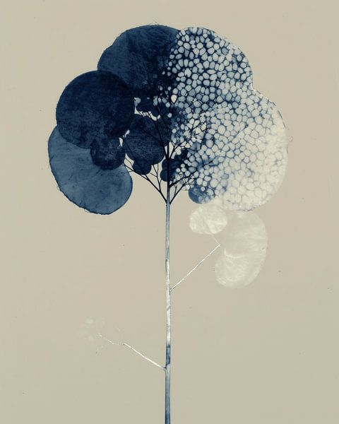 Botanical in cobalt blue by Carla Van Iersel
