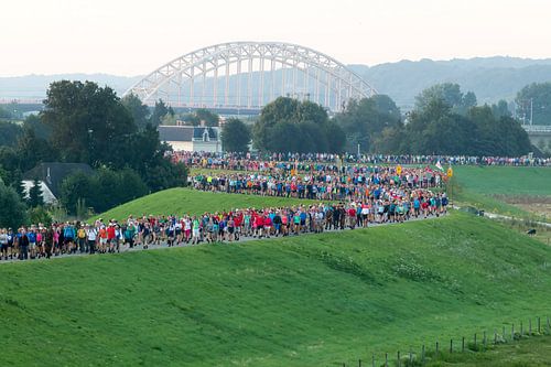 Wandelaars Nijmeegse Vierdaagse op de dijk