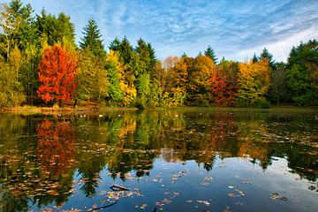 Reflectie herfstkleuren van Ad van Kruysdijk