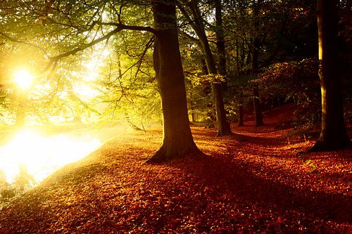 Landgoed Elswout by Michel van Kooten