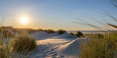In the dunes by Christoph Schaible