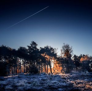 Contrail true blue van Ruud Peters