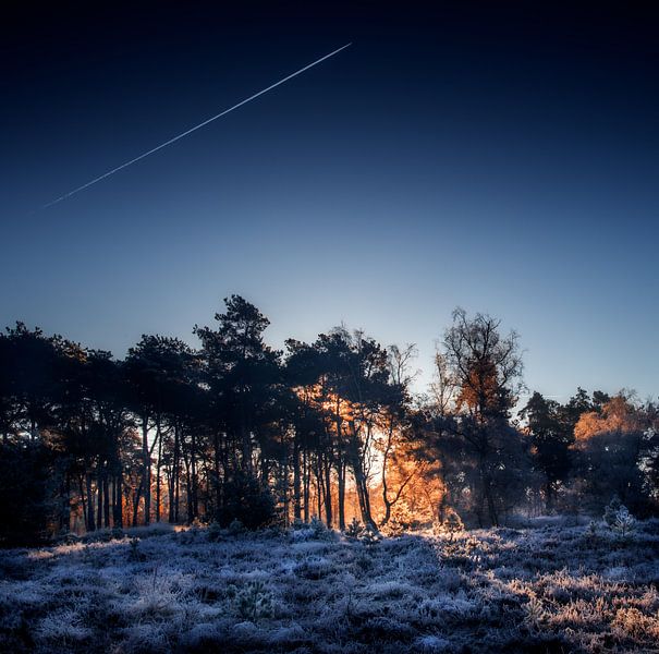 Contrail true blue von Ruud Peters