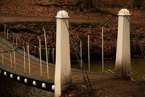 Pont au domaine d'Elswout