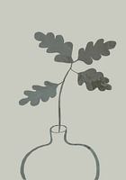 Plante de chêne vert