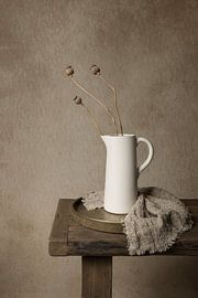 Drei Mohnblumen wachsen wild von Mayra Fotografie