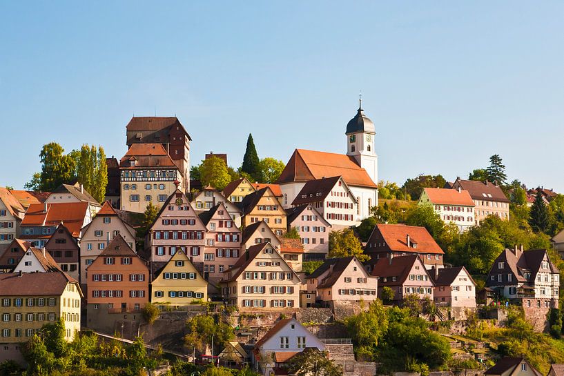 Altensteig in the Black Forest by Werner Dieterich