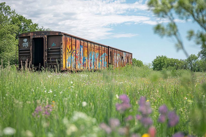 Train abandonné dans une prairie fleurie par Art & Soul Creations