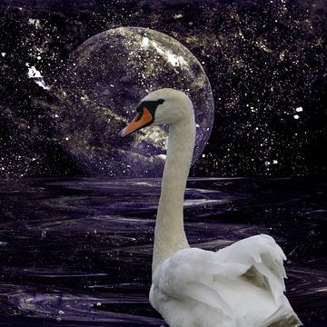 Swan Lake by Christine Nöhmeier