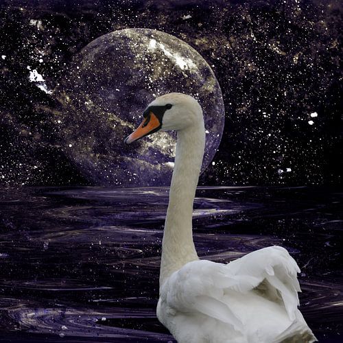 Swan Lake