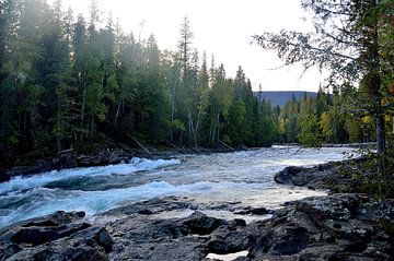 Chute de Bailey sur Frank's Awesome Travels