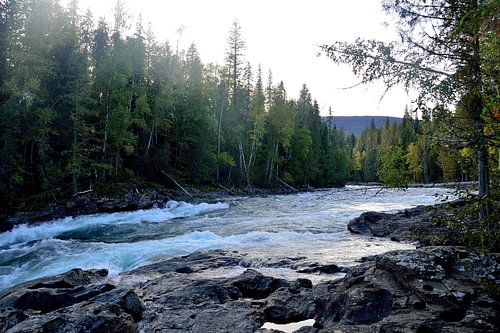 Bailey's chute