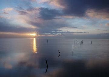 Lac Marker sur Wendy Drent