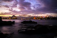 Sydney haven gebied