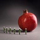 pomegranate by Remko Killaars thumbnail