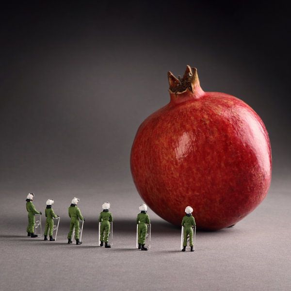 pomegranate by Remko Killaars
