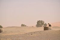 Mann auf Wasser gut in der Wüste, Erg Chebbi, Marokko