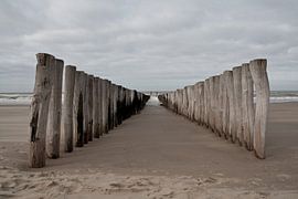 Tussen de palen von Wilco Schippers