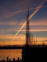 Haven in avondzon.