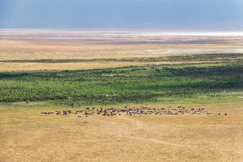 Abstract aardse kleuren