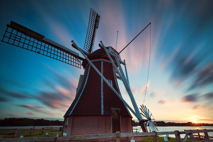 The Queen of the windmills par Olha Rohulya