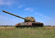 M47 Patton leger tank kleur van Martin Albers Photography thumbnail