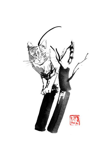 climbing cat by Péchane Sumie