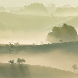 Nebellandschaft von Mathijs Frenken