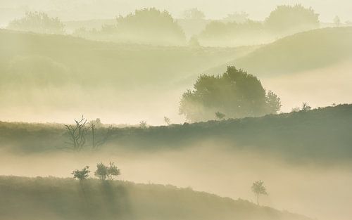 Paysage de brouillard sur Mathijs Frenken