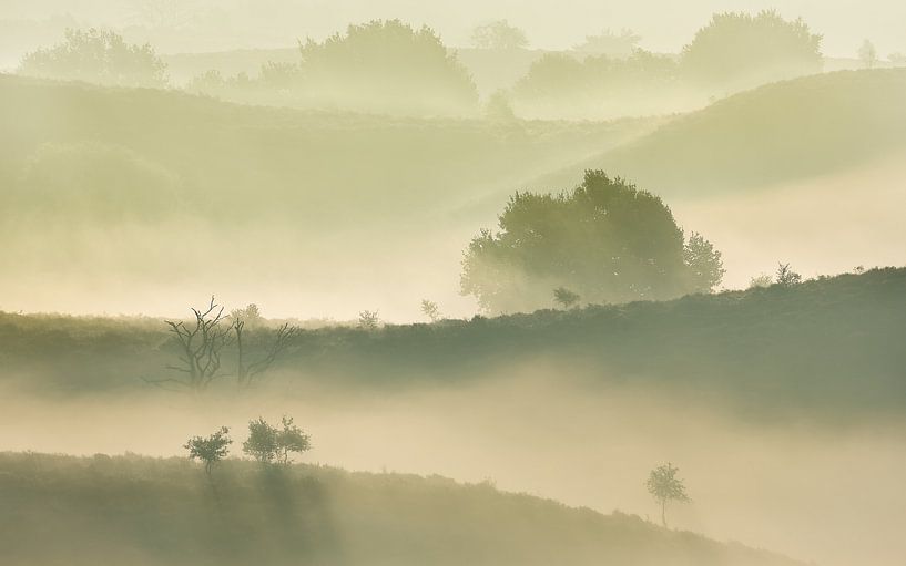 Paysage de brouillard par Mathijs Frenken