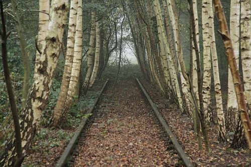 end of the railroad by Saskia Toonen
