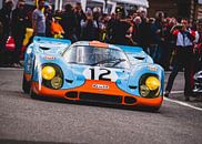 Porsche 917 Spa Classic van Bob Van der Wolf thumbnail