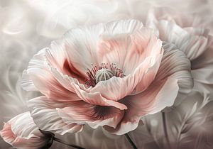 Coquelicot