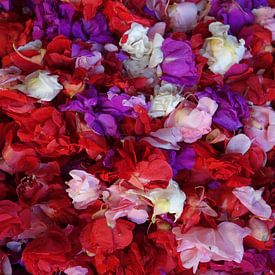 Flowers von Mari Plooij