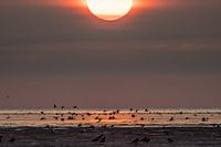 Zonsondergang bij de Waddenkust