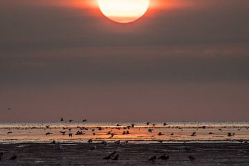 Sunset at the Wadden coast by Goffe Jensma