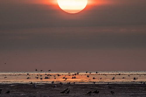 Sunset at the Wadden coast